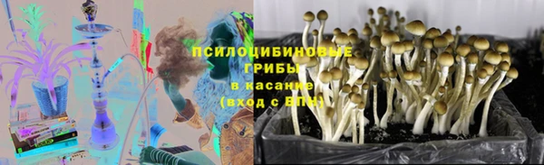 2c-b Заволжье