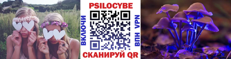 Псилоцибиновые грибы прущие грибы  Купить где  Нариманов 